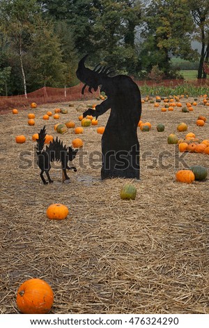 Halloween pumpkins patch with  pumpkins and scary halloween decoration for kids