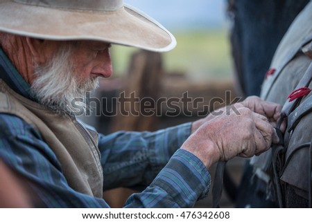 American West rodeo cowboy hands harness old western saddle on the horse at sunrise in the mountains