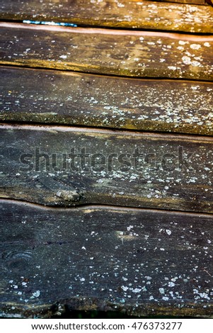 Nature wooden texture. wooden texture with dark knots in sunshine. high resolution