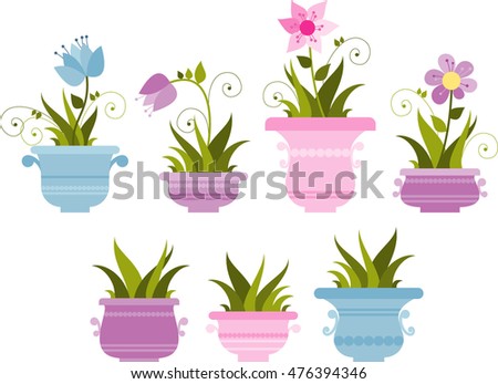 beautiful indoor plants in flowerpots