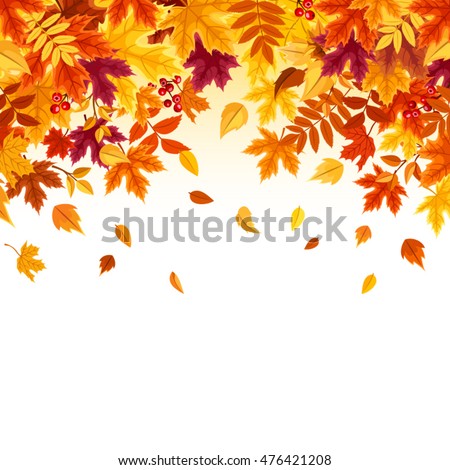 Vector background with red, orange, brown and yellow falling autumn leaves. Royalty-Free Stock Photo #476421208