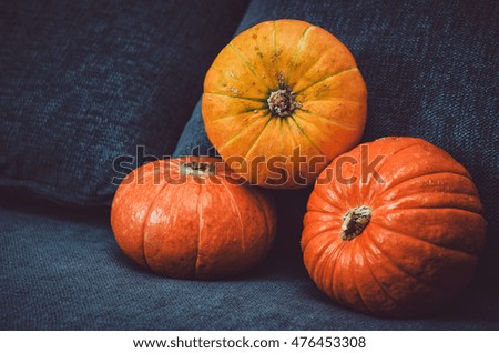 Assortment of orange pumpkins on dark background. Fall symbol, Thanksgiving Day concept. Still life, rustic style. Halloween holiday. Autumn picture for your design food blog.