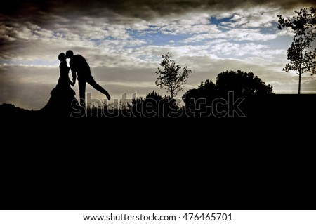 Bride and groom silhouette in the sky
