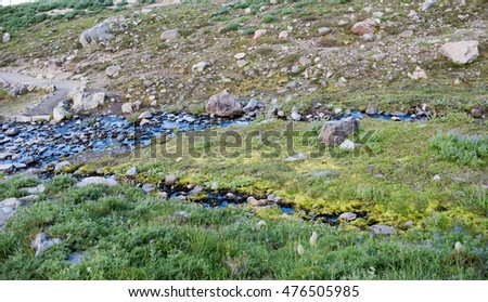 Small Creek Running Through Meadows of Mount Rainier National Park