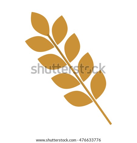 leaf leaves plant nature garden decoration rustic icon. Flat and isolated design. Vector illustration