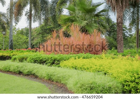 a front selective focus picture of landscape garden with green grass lawn and colorful garden 