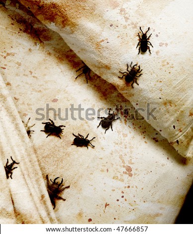 stained bedding with bugs