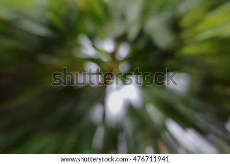 green of tree blurred background, speed zoom effect