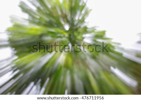 green of tree blurred background, speed zoom effect