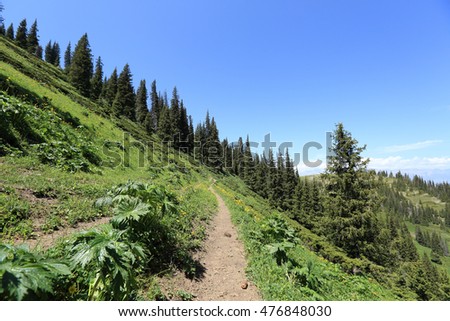 hiking trail on mountain peak