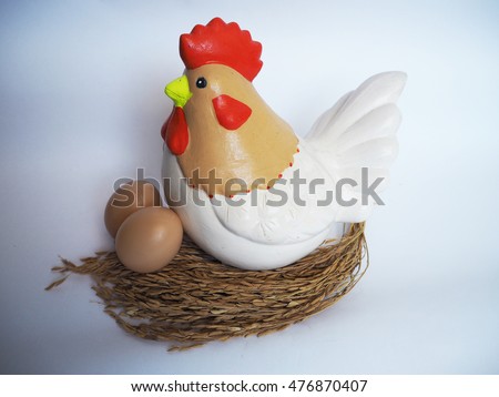 Hen and its eggs on paddy rice, isolated background.