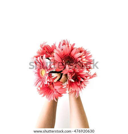 pink gerbera bouquet in girl's hands on white background. Flat lay, top view