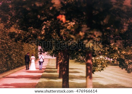 Just married romantic wedding couple holding hands and walking with a photographer under green trees in a castle park on their special day - vintage filter