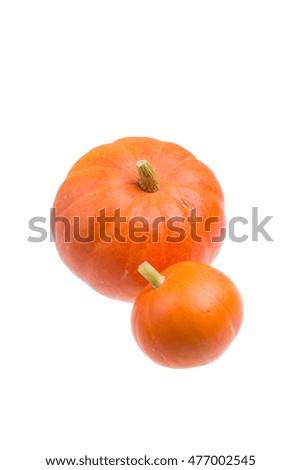 Bright, beautiful, autumn two pumpkins with green stem on white background isolated. Vertical picture.
