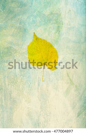 isolated leaf on beige background - design of nature
