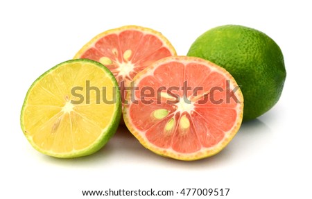 Set of cross citrus fruits. Isolated on white background. Close-up. Studio photography.