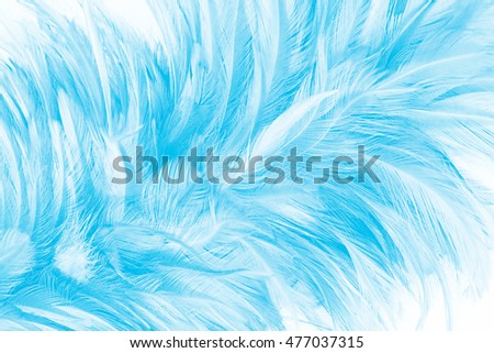 green color trends chicken feather texture background