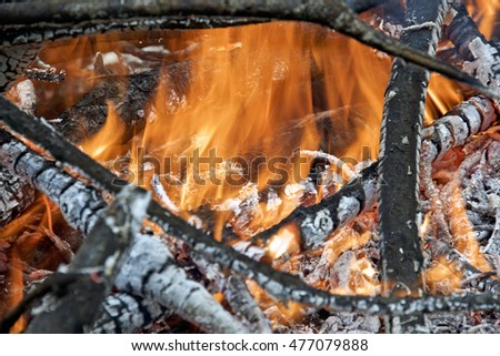 Close-up photo of outdoor bonfire. Smoldering ashes of a bonfire.