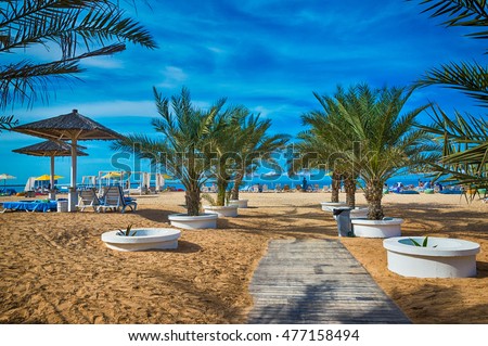 The beach in Ras Al Khaimah with umbrellas and sunbeds. Royalty-Free Stock Photo #477158494