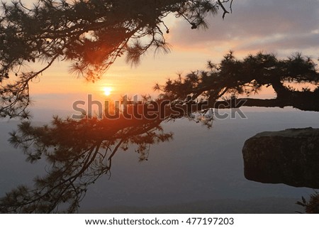Sunset at cliff, with silhouettes of tree at Lomsak , Phukradung National Park, Thailand