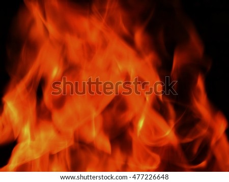 Flames of fire on a black background