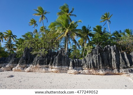 Eroded rock formation on tropical beach with coconut palm trees, atoll of Tikehau, Tuamotu archipelago, French Polynesia, Pacific ocean