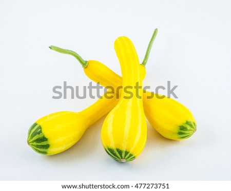 Three beautiful fresh zucchini