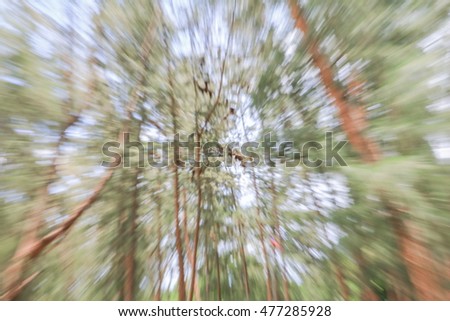 green of tree blurred background, speed lens zoom effect