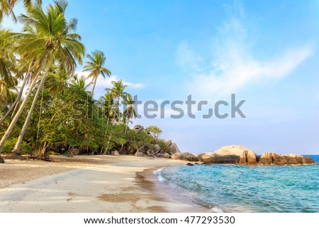 Empty morning Samui beach with tall palmtrees and rocks Royalty-Free Stock Photo #477293530