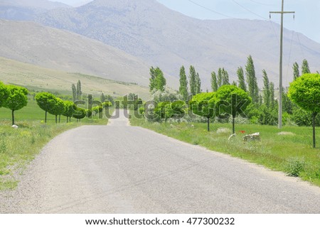 The road for village in Turkey