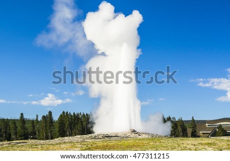 Old faithful on the morning,summer, in Yellowstone National park,usa. Royalty-Free Stock Photo #477311215