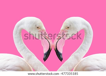 The flamingo facing collision make heart-shaped. 