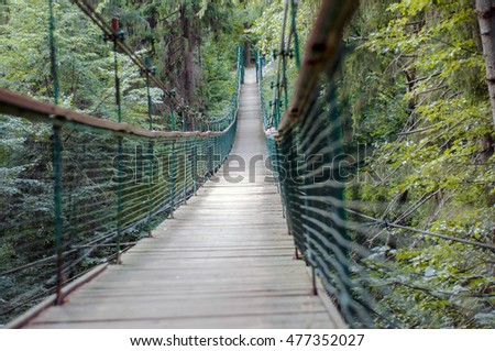 Suspension bridge, Crossing the river, ferriage in the woods Royalty-Free Stock Photo #477352027