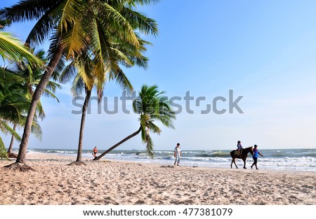 Coconut palm and horse on the hua hin beach,Hua Hin beach Thailand. Royalty-Free Stock Photo #477381079