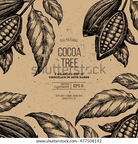 Cocoa bean tree design template. Engraved style illustration. Chocolate cocoa beans. Vector illustration Royalty-Free Stock Photo #477508192