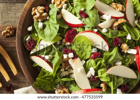 Homemade Autumn Apple Walnut Spinach Salad with Cheese and Cranberries Royalty-Free Stock Photo #477533599