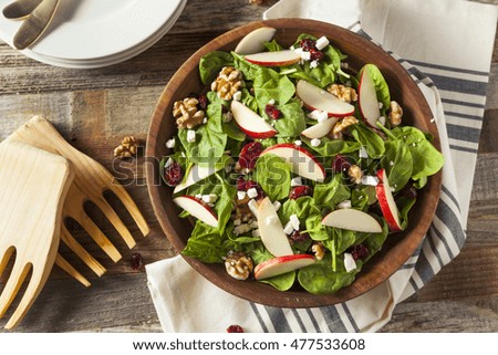 Homemade Autumn Apple Walnut Spinach Salad with Cheese and Cranberries Royalty-Free Stock Photo #477533608