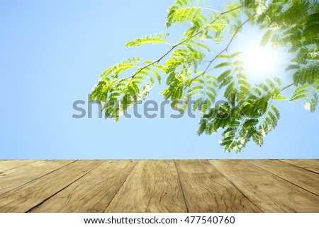 Empty top wooden on blue sky and tree background