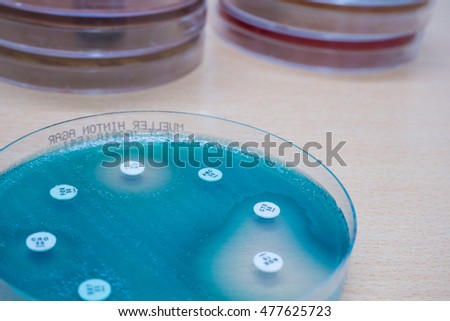Disc diffusion of Pseudomonas aeruginosa on Mueller-Hinton agar