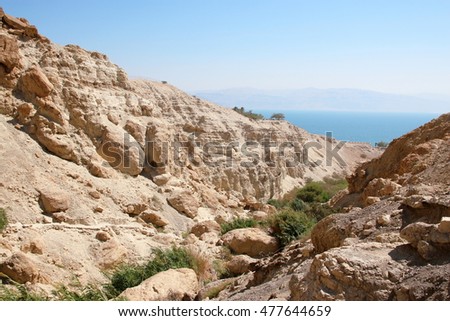 Panoramic view on Ein Gedi national park with in the background the Dead Sea, Israel.