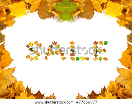Autumn maple-leafs background with word SALE composed of autumnal maple leafs. Isolated on white background.