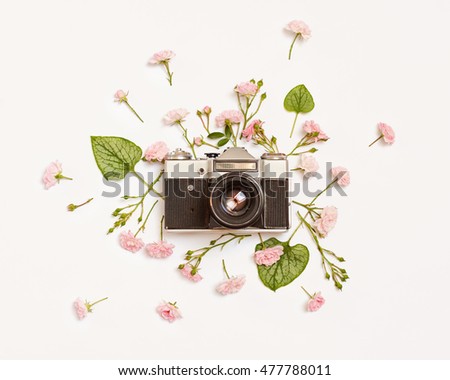 Vintage retro photo camera, pink roses the fairy and Brunnera green leaves on white background. flat lay, top view.