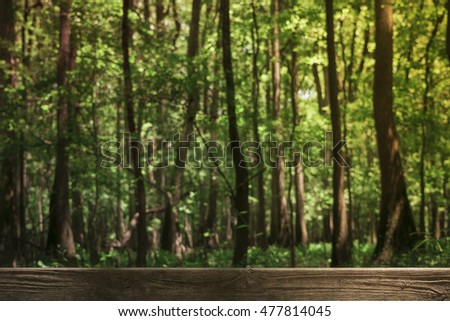 Blurred forest, natural background with table, planks, board in the foreground
