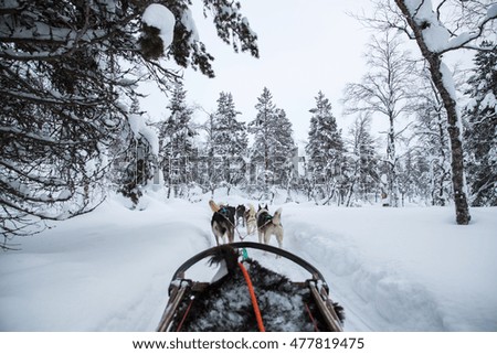 Husky sledge ride in Lapland, Finland.