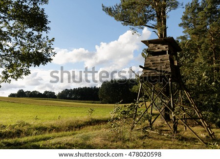 Field and hunt tower near the forest