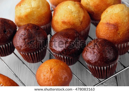 chocolate and simple muffins. closeup.Selective focus