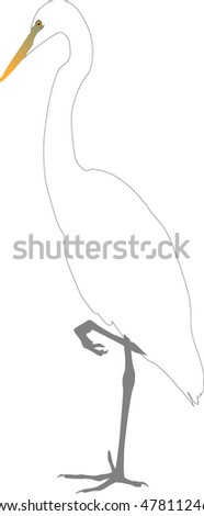  wild heron stands color vector on a white background