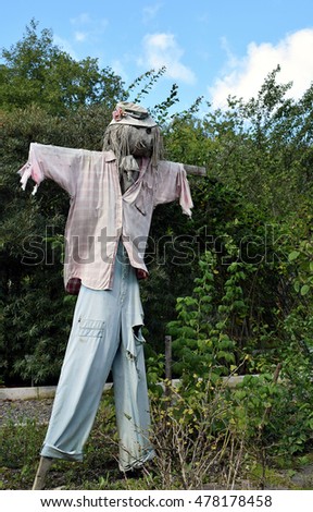 Old Scarecrow in the garden.