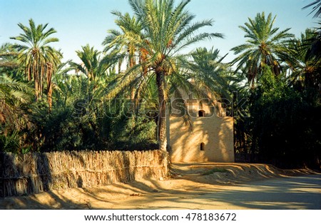 Oasis, Tozeur, Tunisia Royalty-Free Stock Photo #478183672