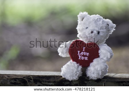 Teddy Bear sitting on wood, Blurred Background